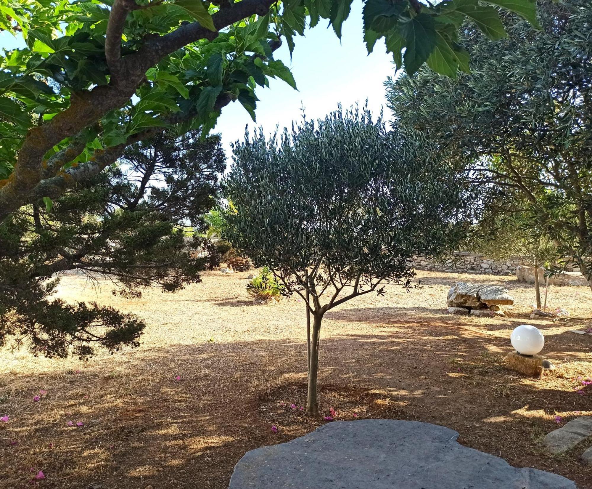 Kastraki Art Houses Kousounarion Room photo